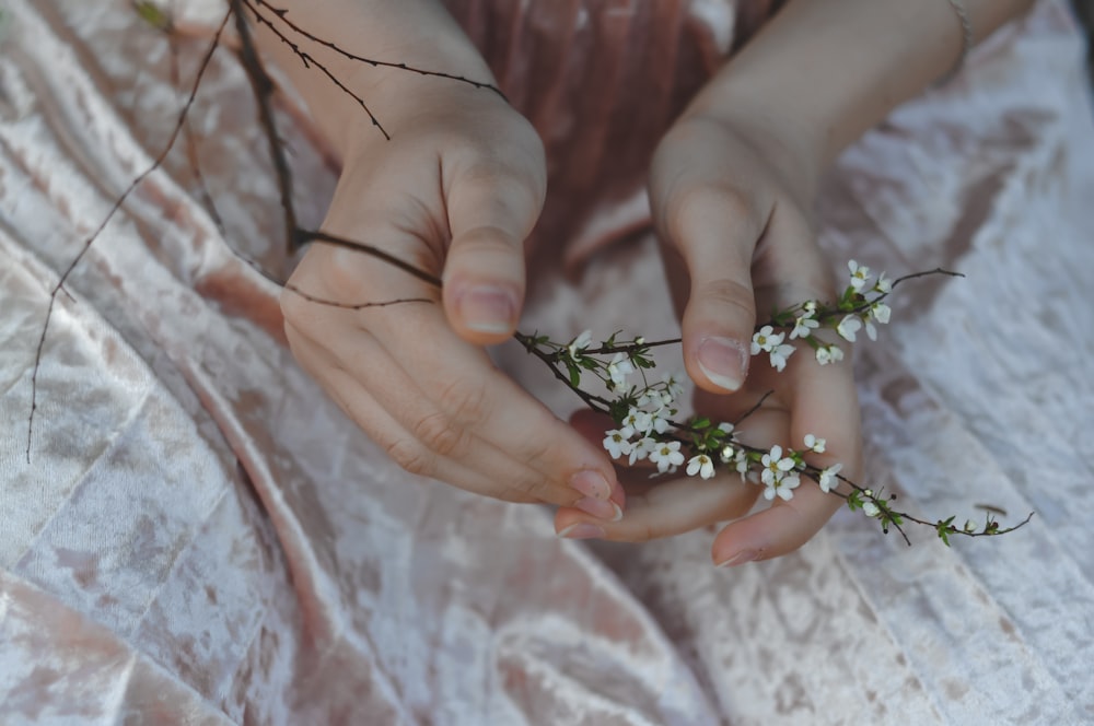 person holding white petal flowers