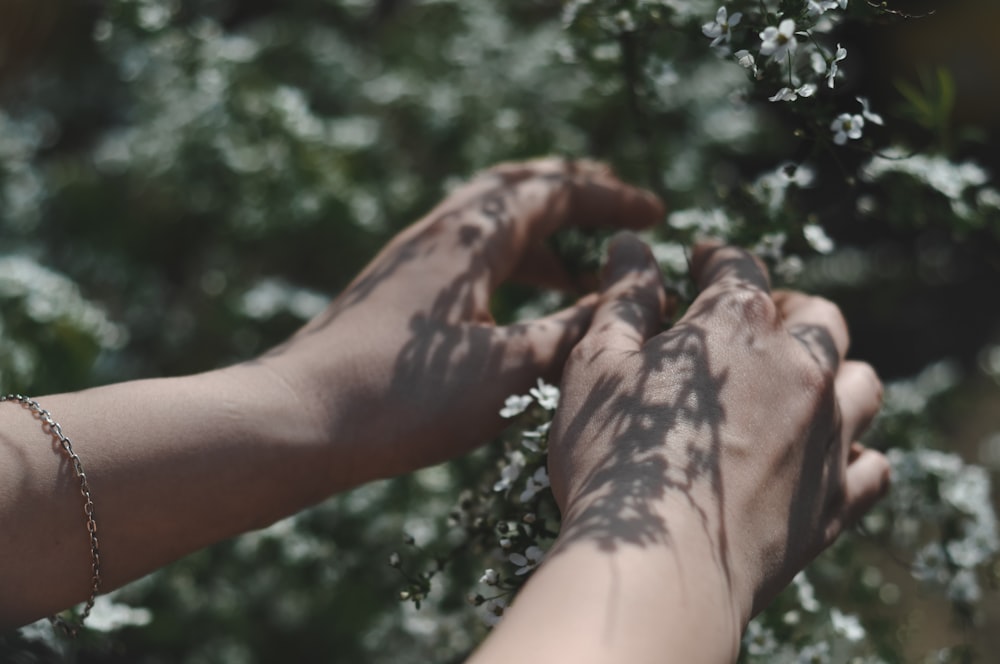 selective focus photo of person's hand on white flower