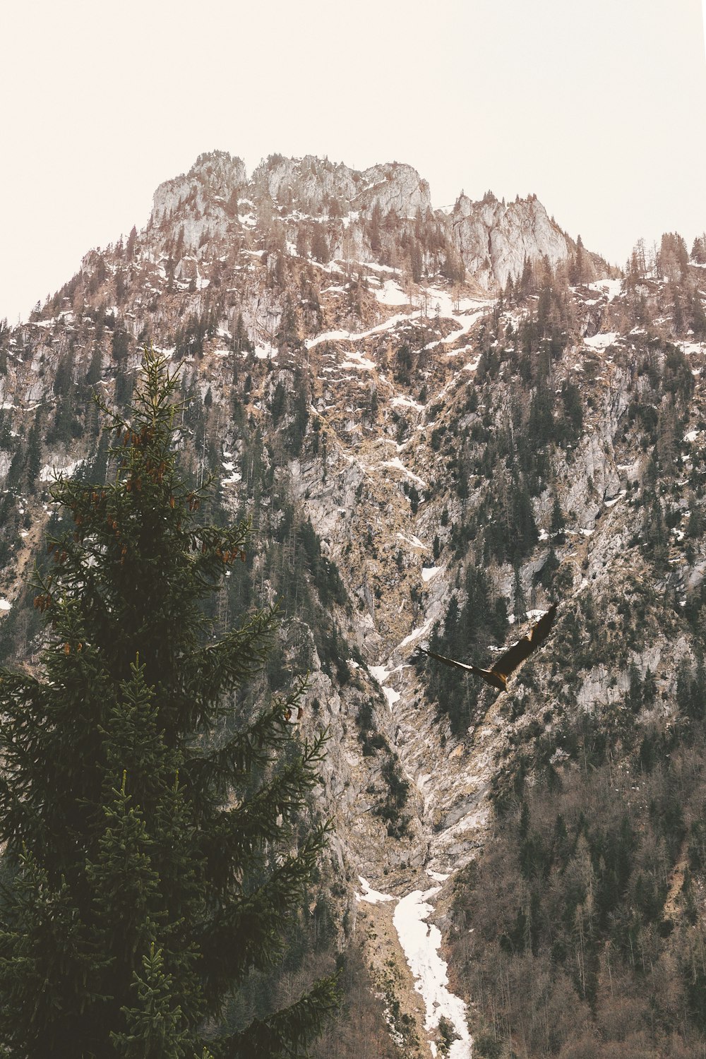 aerial photo of mountains