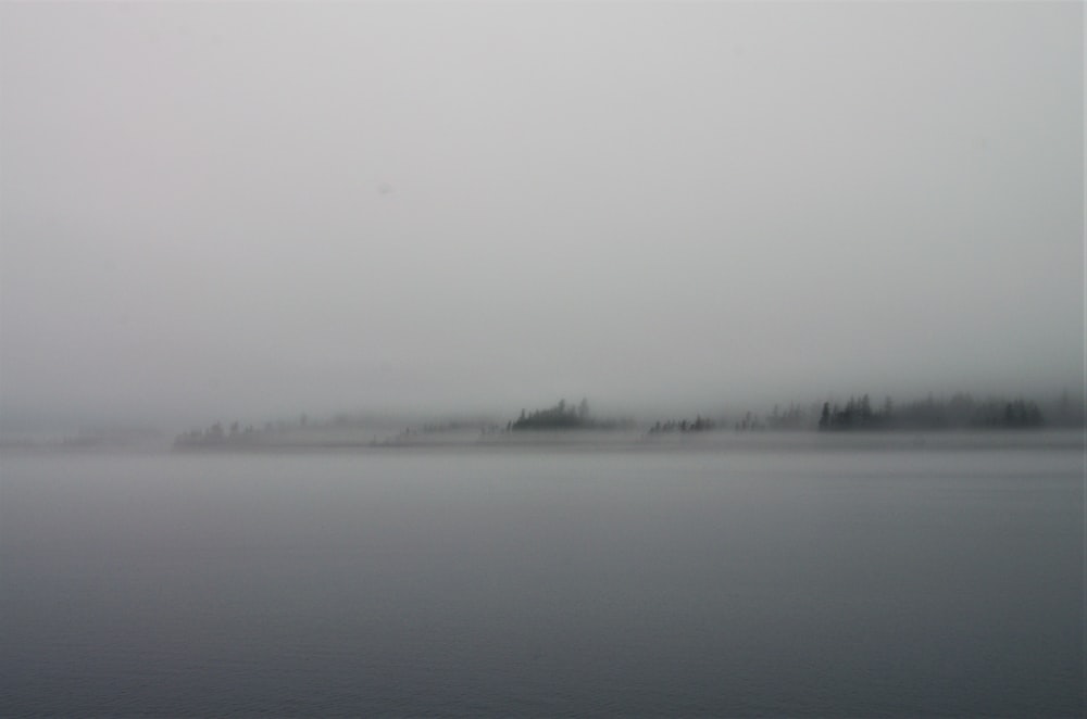 a foggy lake with trees in the distance