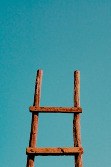 brown ladder