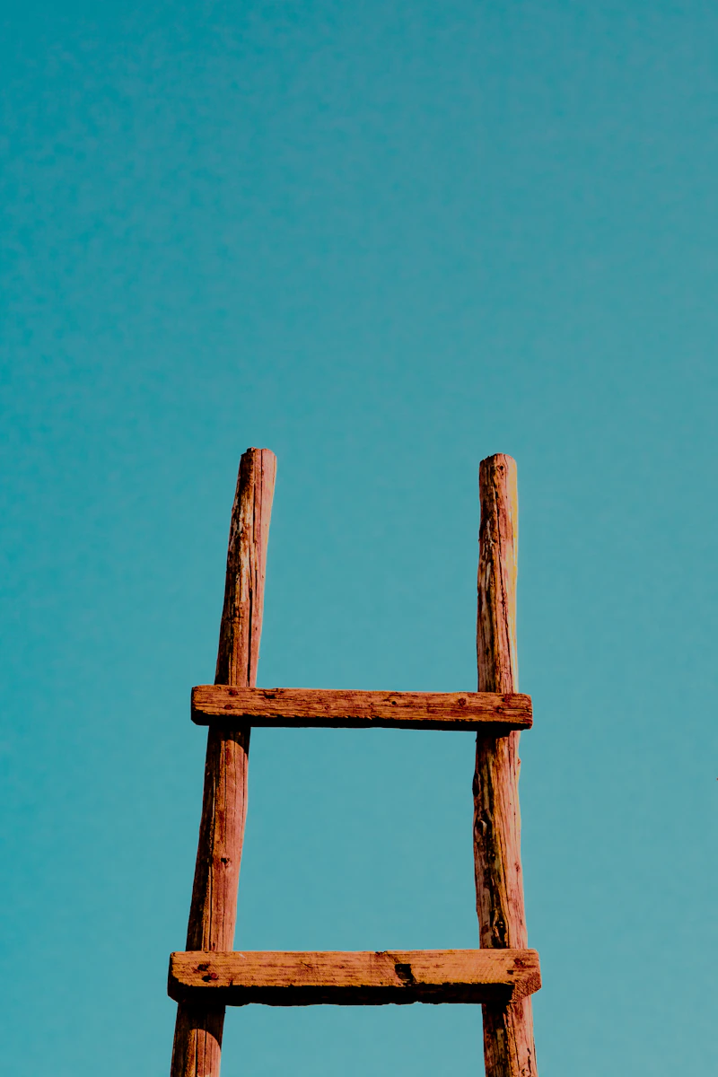 Werner 3-Section Aluminium Ladder