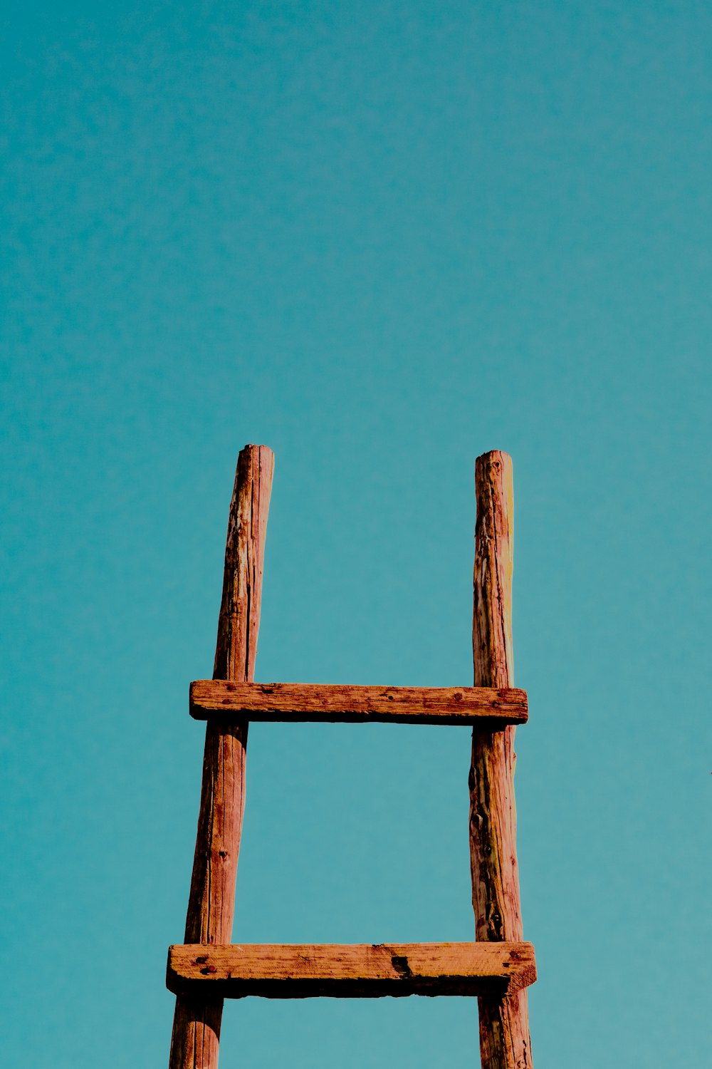 brown ladder