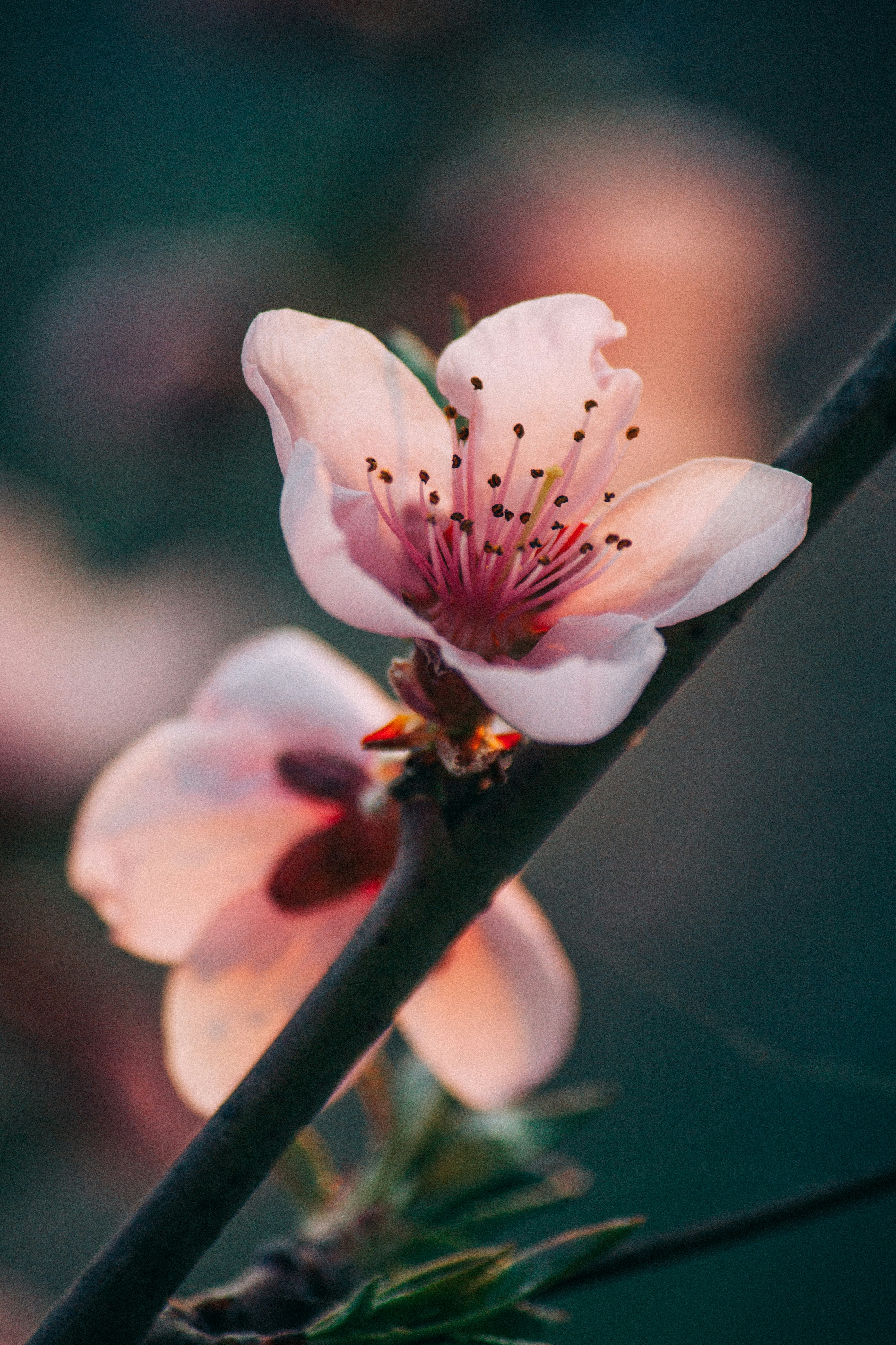 Photo by onmywayhome