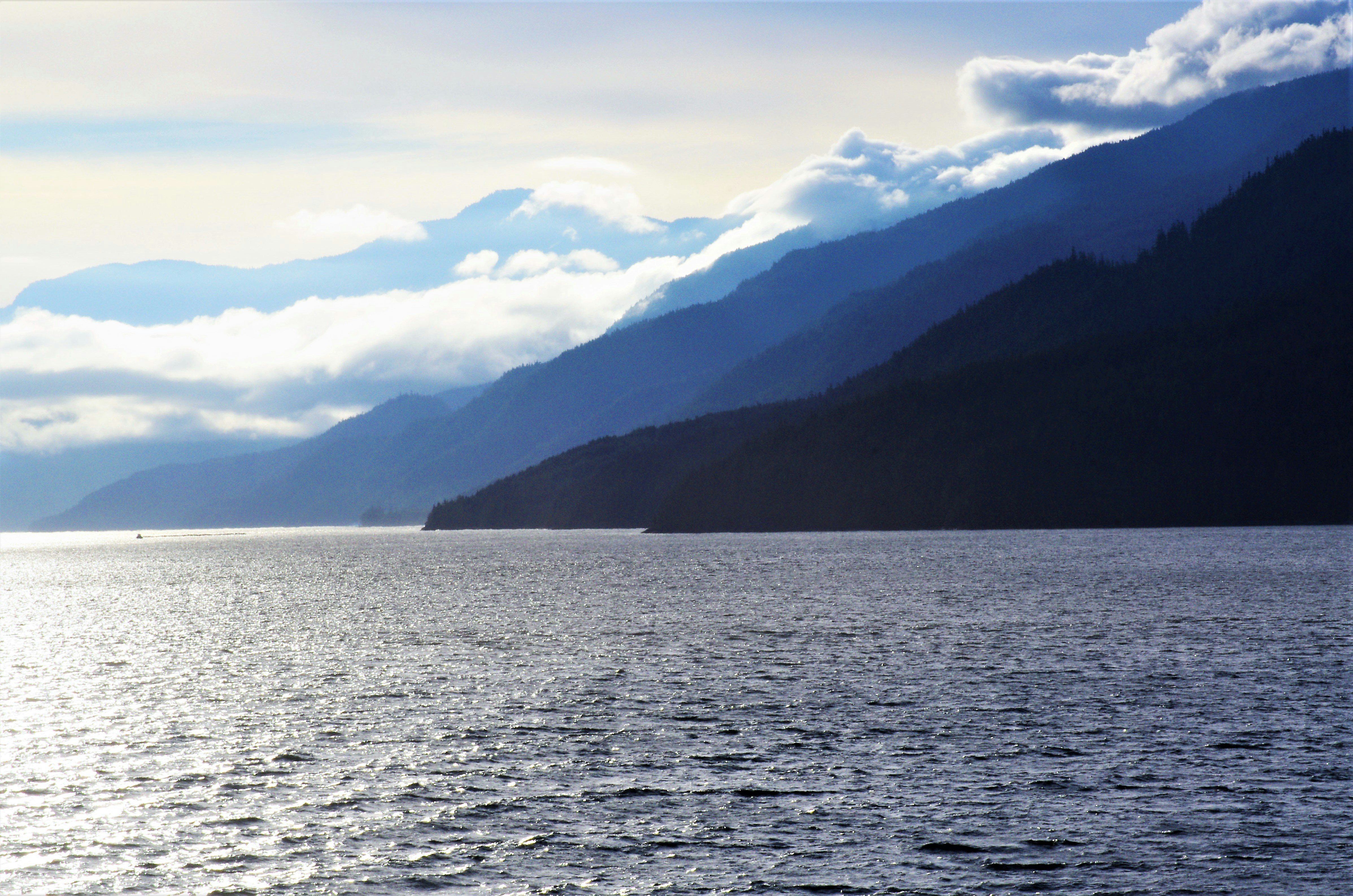 Photo by icehoundphotography