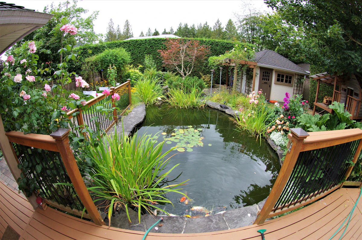 Medium landscaped pond