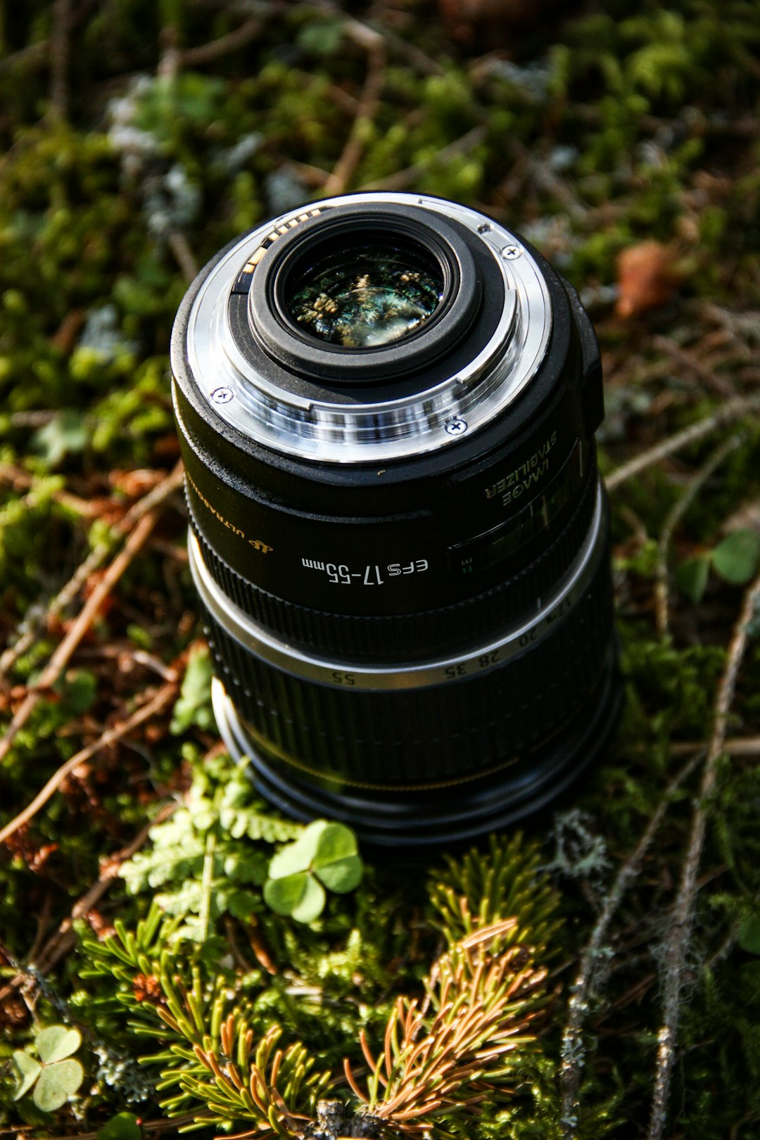 black DSLR camera lens on grass field