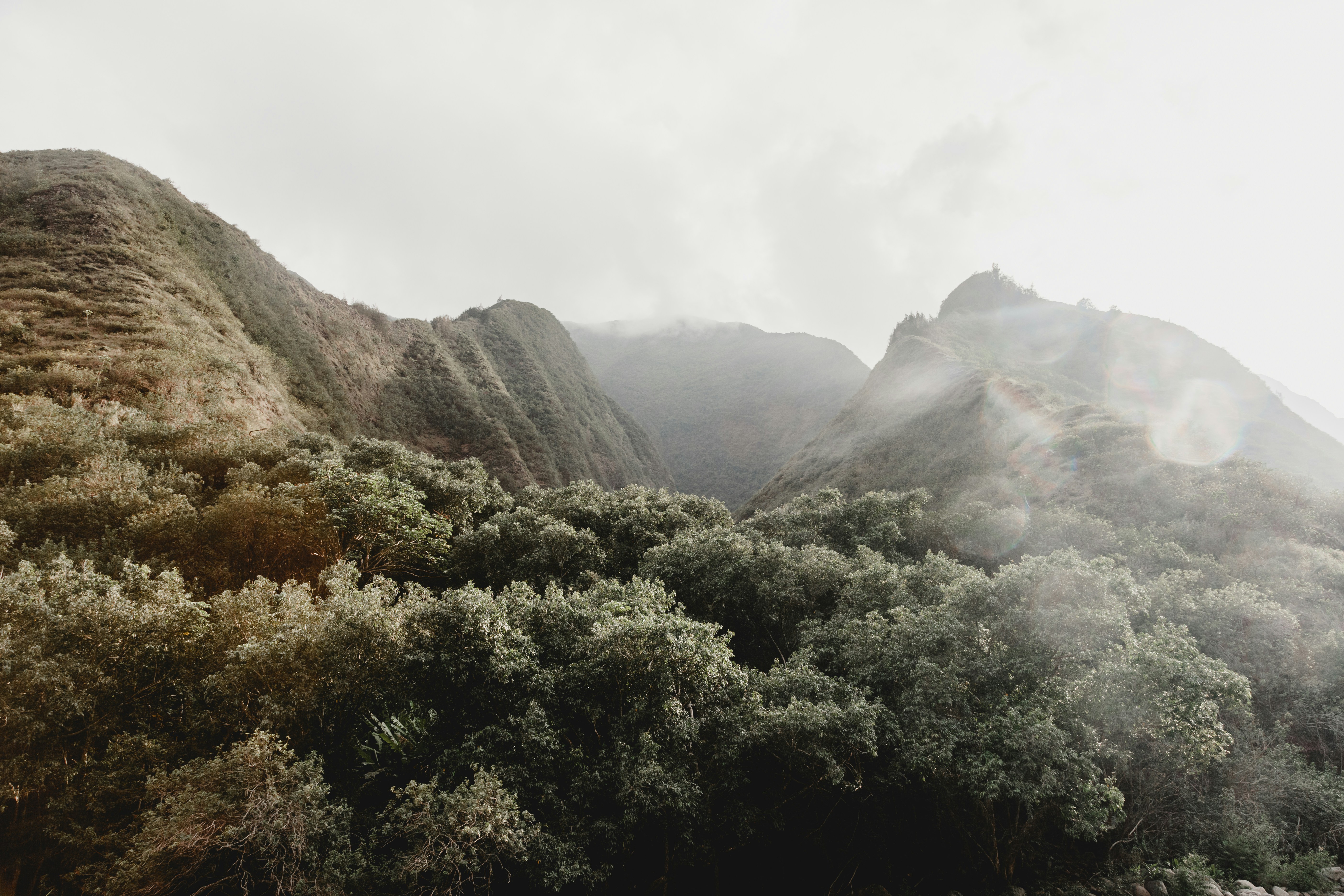 Photo by georgiadelotz