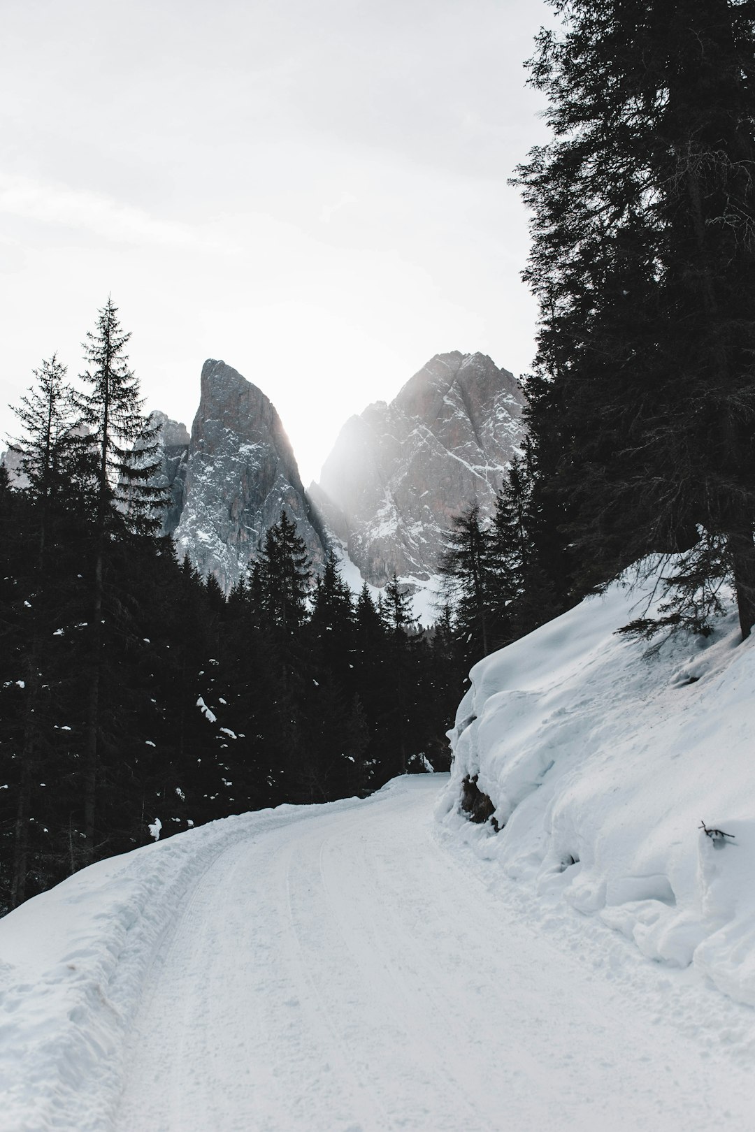 snow covered road between green trees overlooking rocky mountain