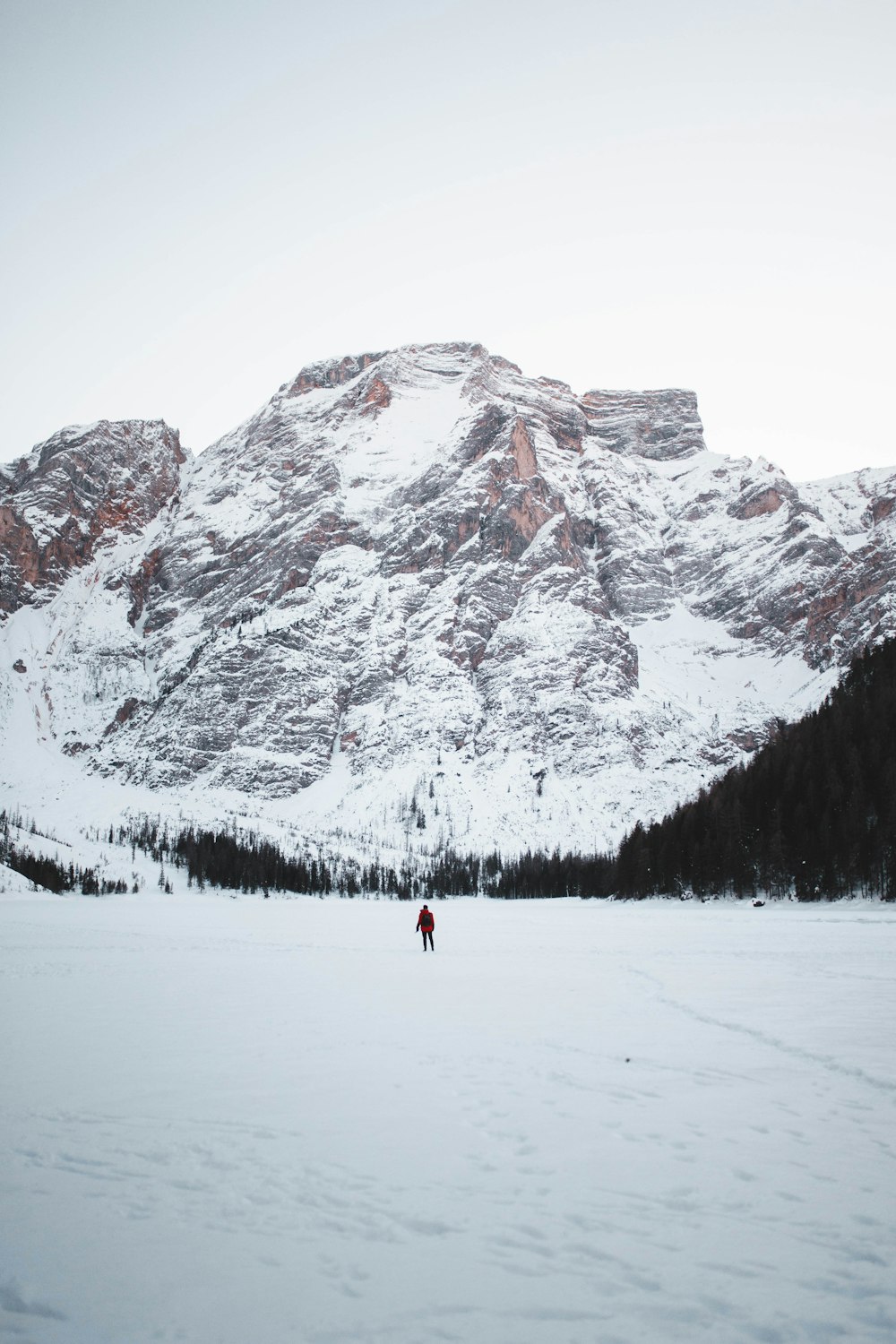 person on snow ground