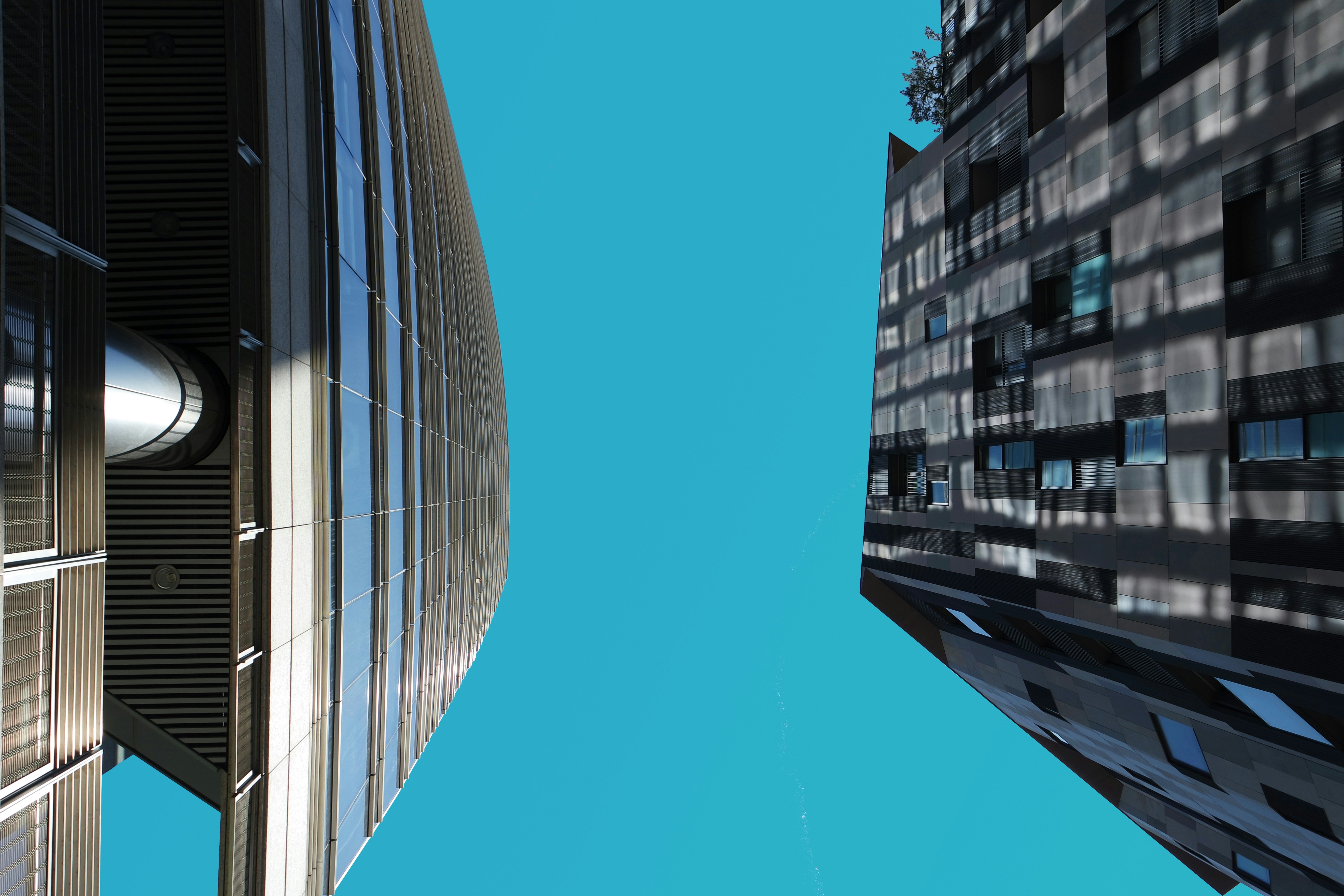 Photo by michelebit_