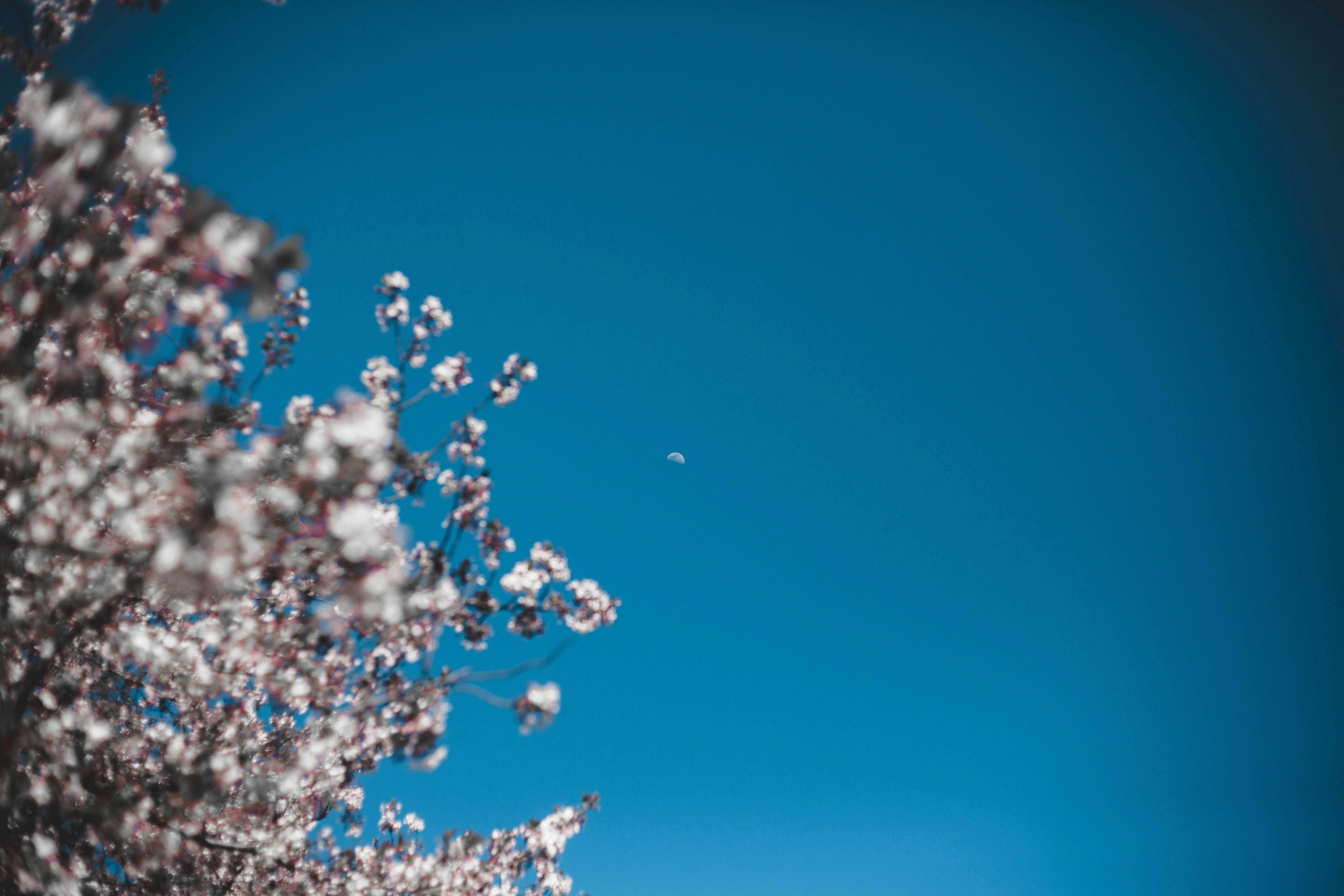 Photo by charlespostiaux