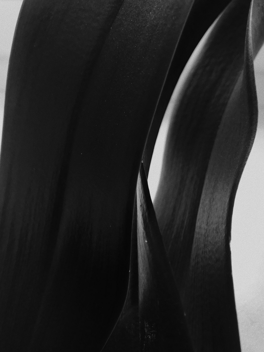 a black and white photo of a vase