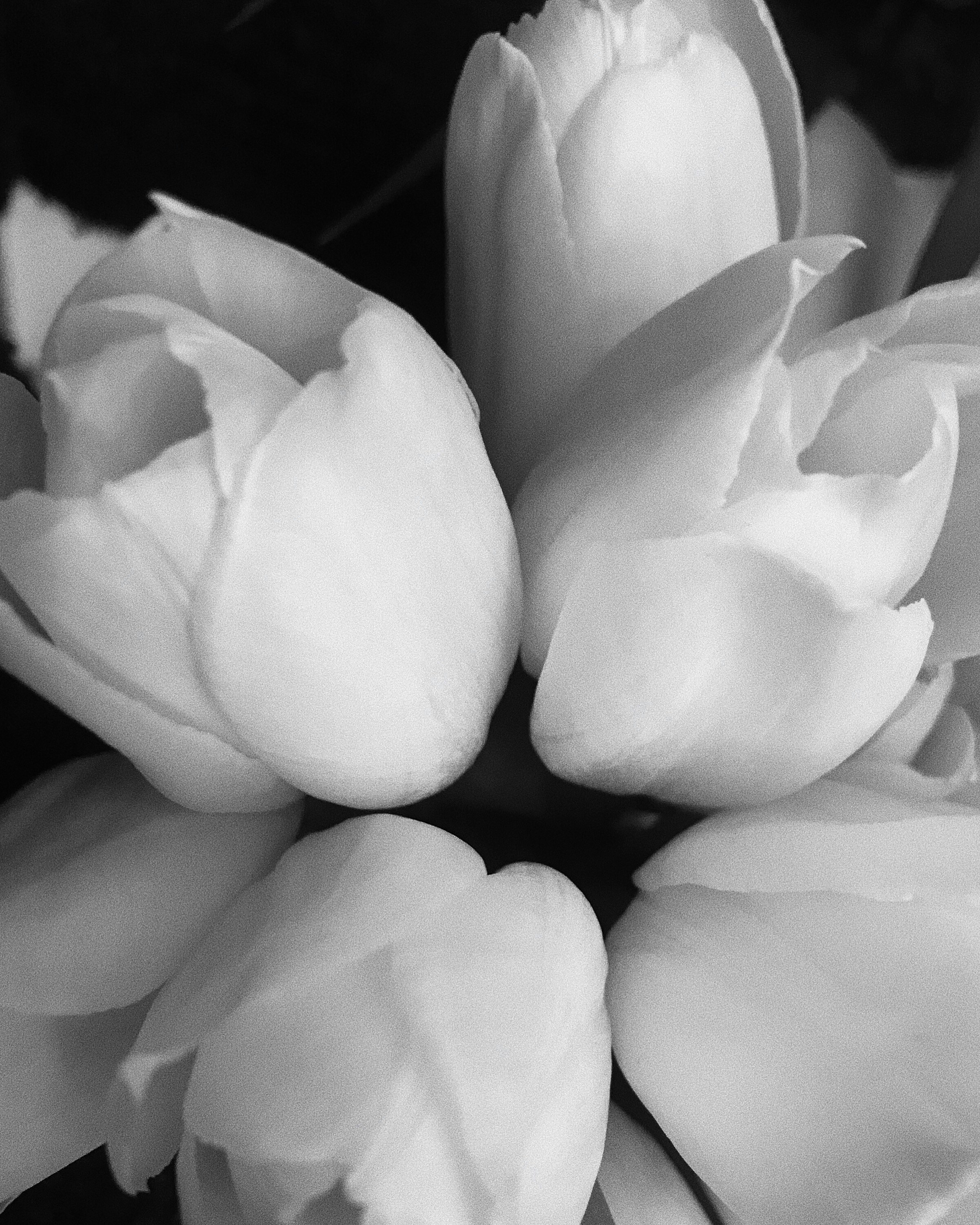 Photo by aleksandrazurek