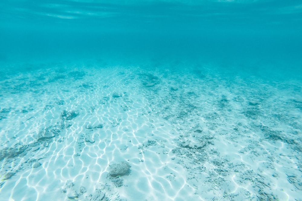 Fotografía subacuática de una masa de agua clara