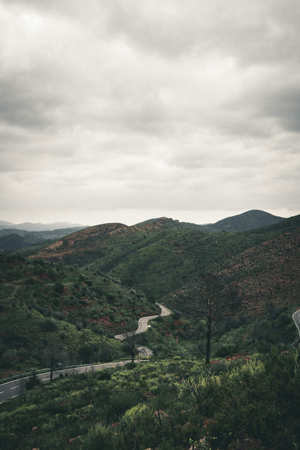 green grass covered mountains