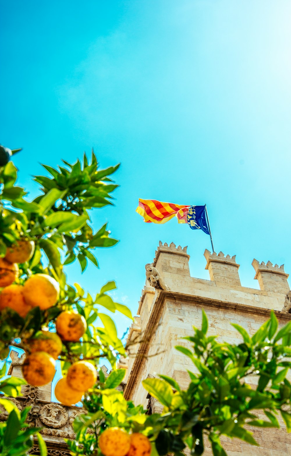 yellow and blue flag on roof top