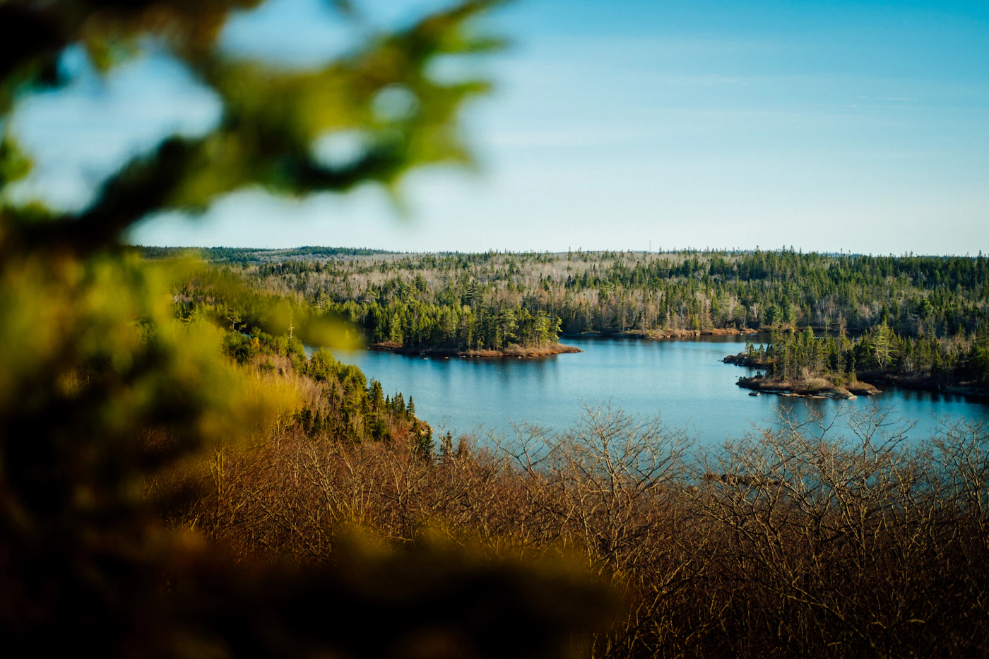 Ontario lake with densely forested Canadian Shield shoreline, small wooded island in the middle distance, sky and forest reflected in the still blue water