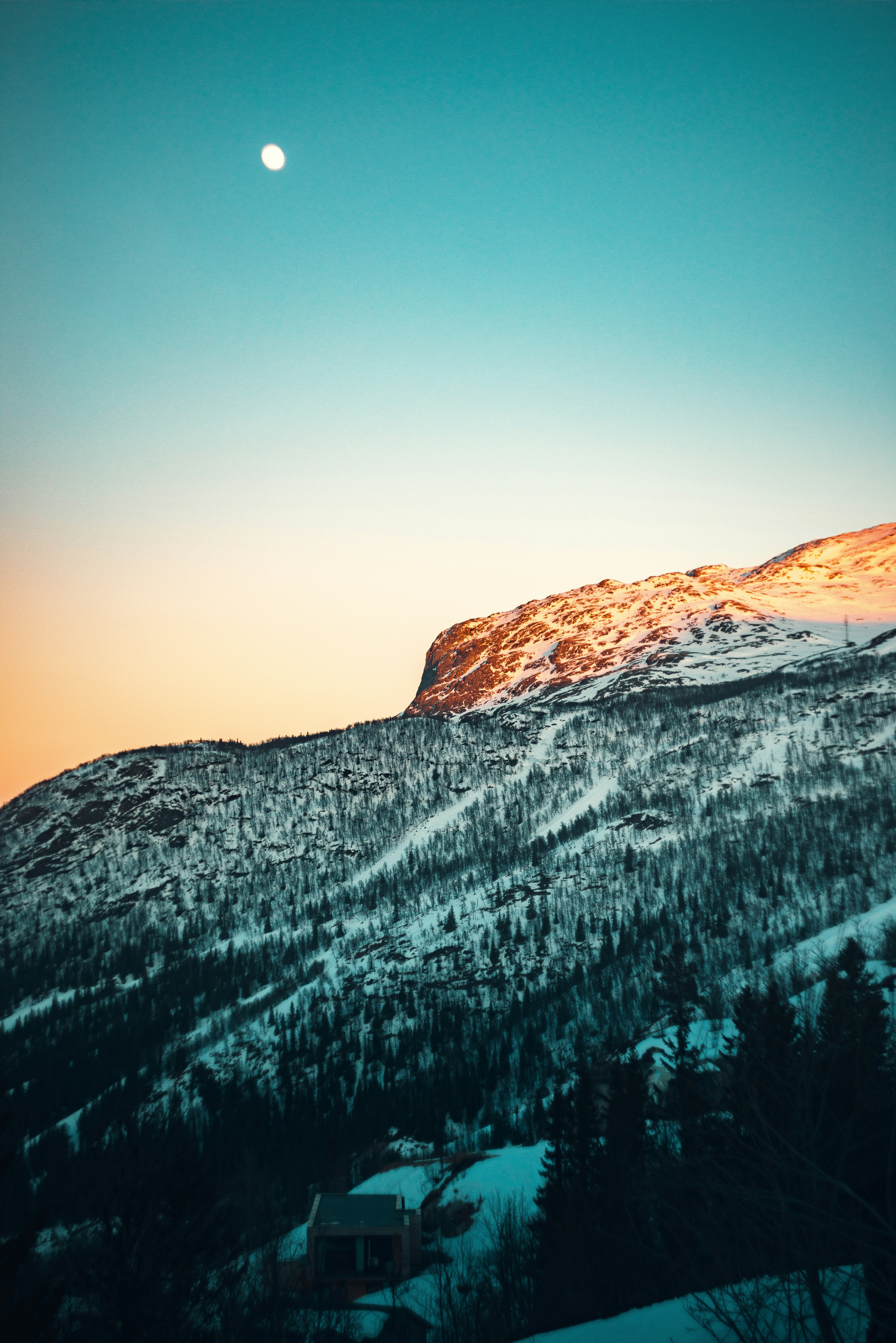 green grass during daytime