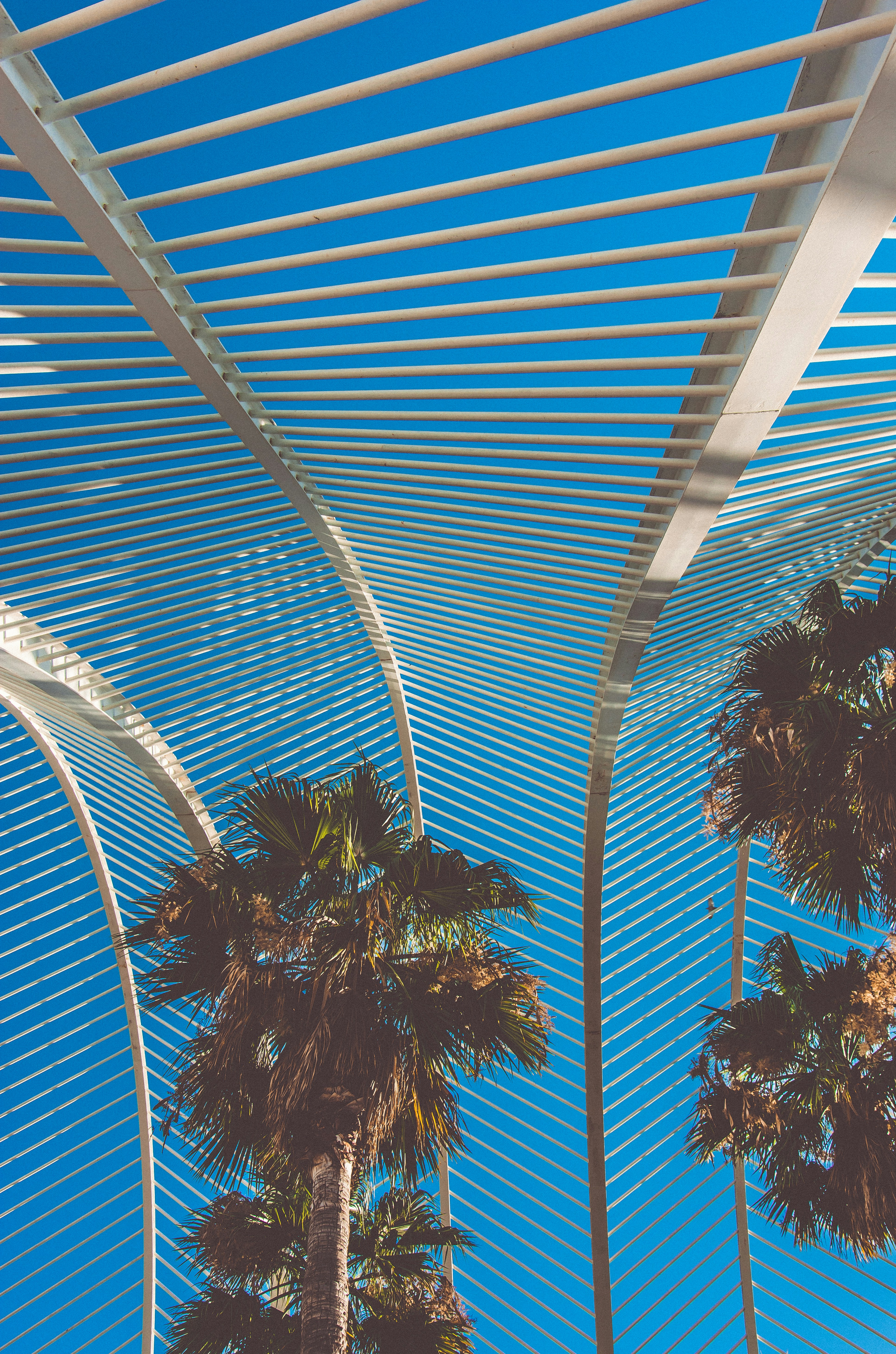 Photo by mrstupachenko