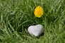 heart-shaped black stone on green grass