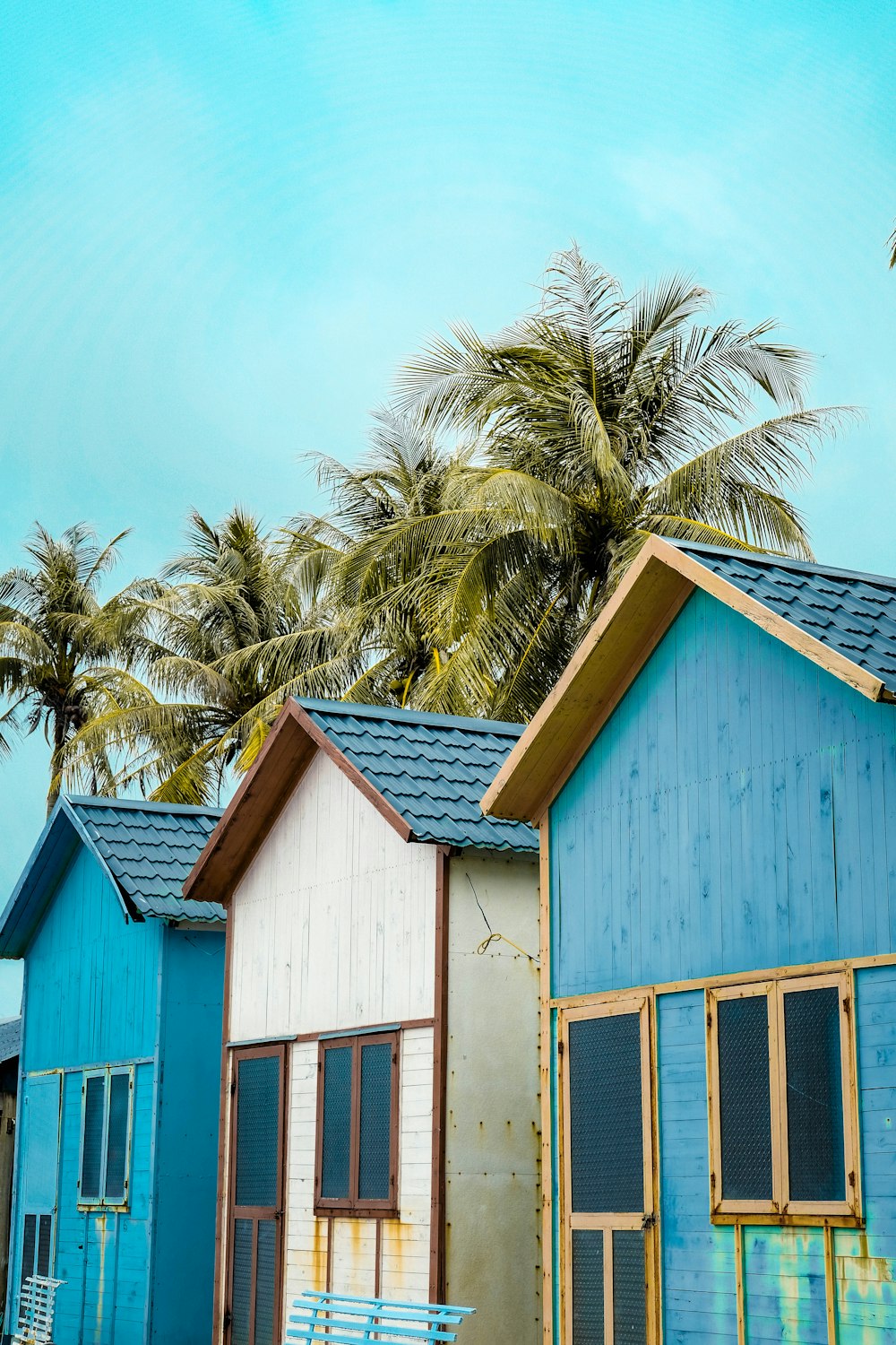 blue and white wooden houses