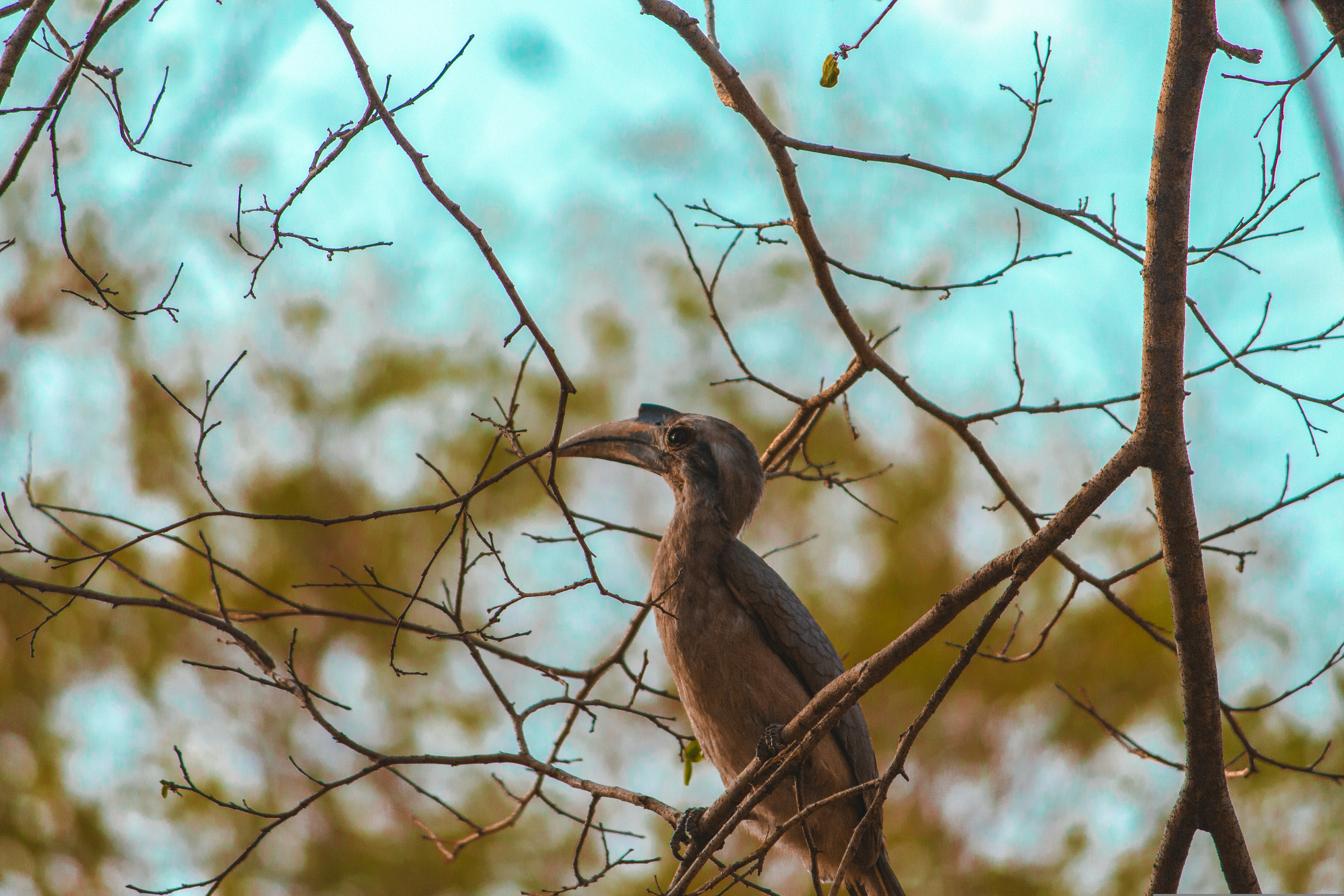 Photo by deepak379