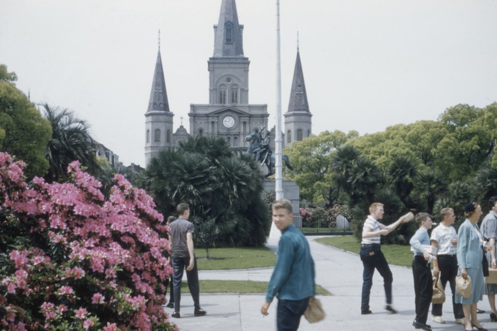 people walking near pink-petaled flower