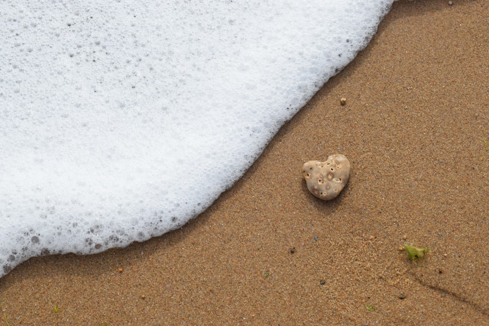 rock on sand