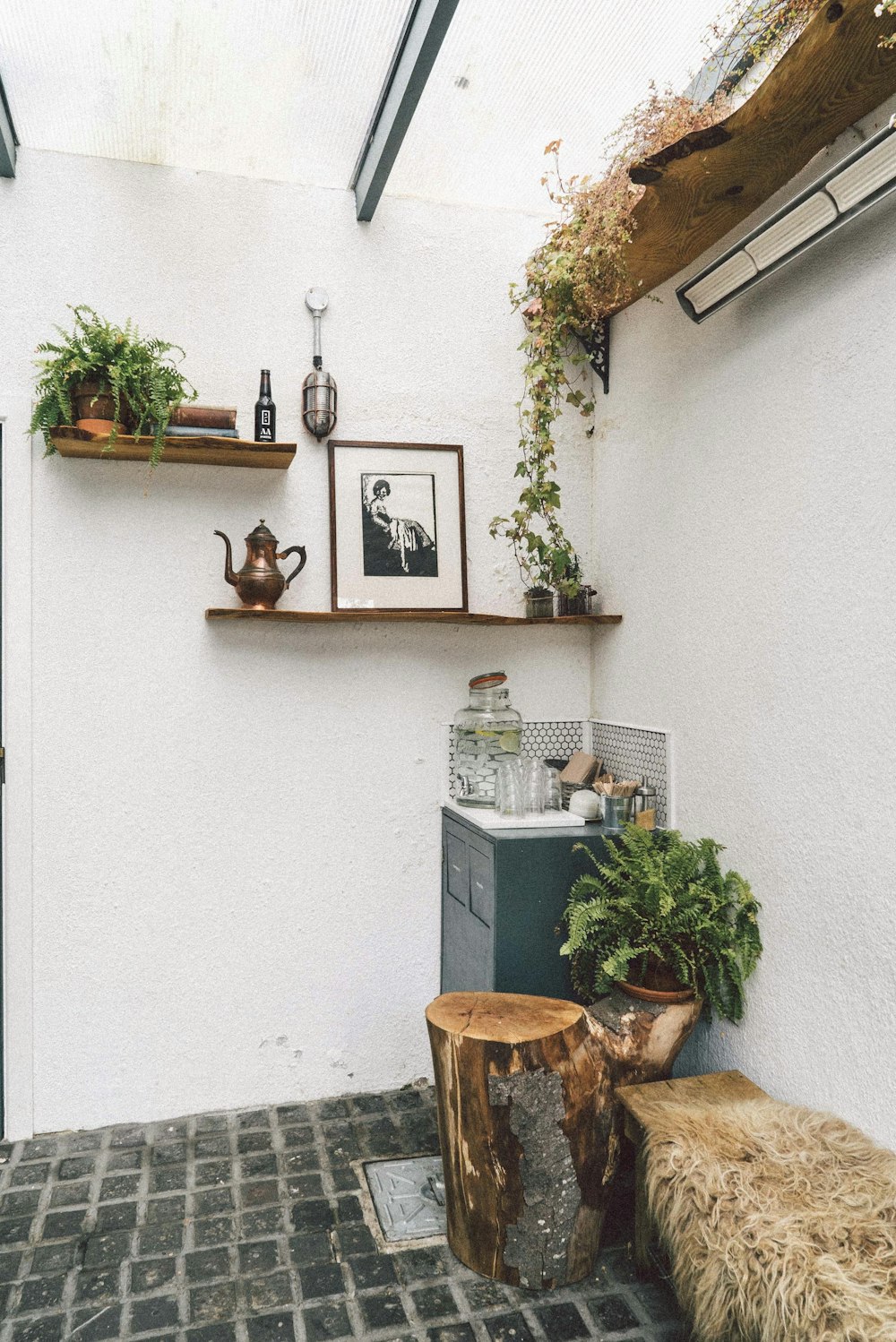 green plant beside cabinet