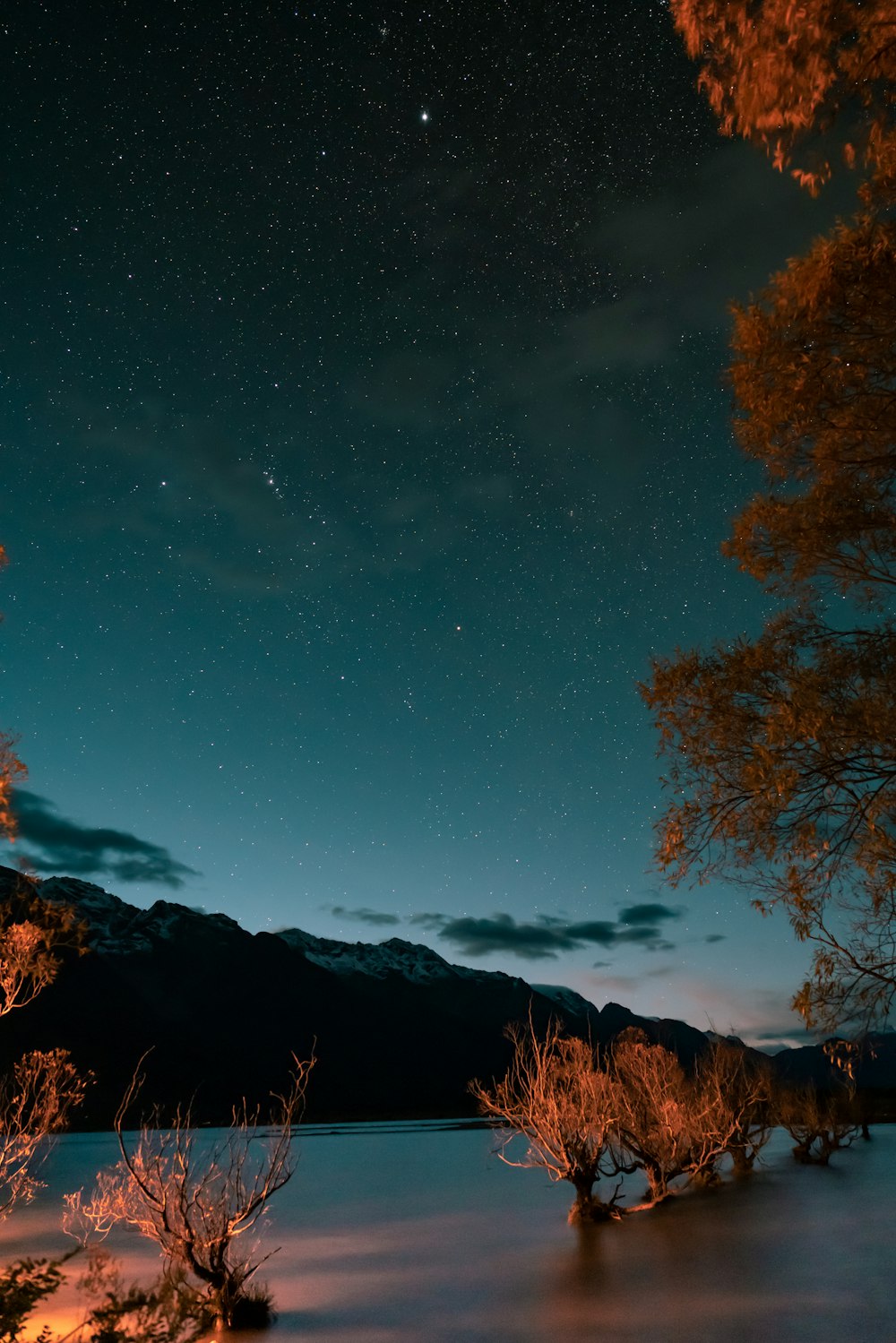 the night sky over a lake with trees in the foreground