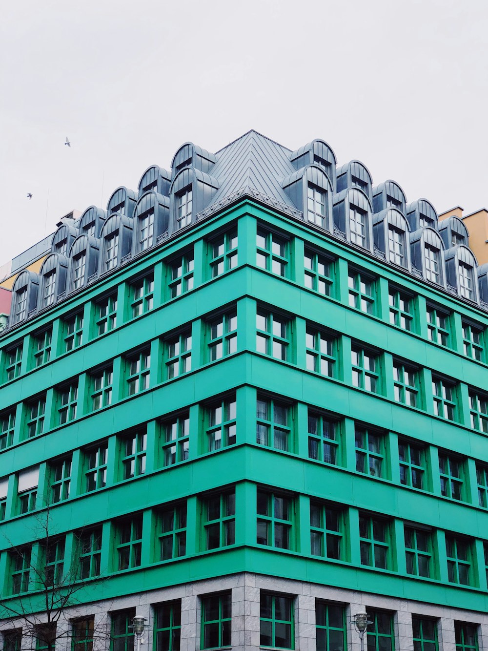 청록색과 회색 콘크리트 건물