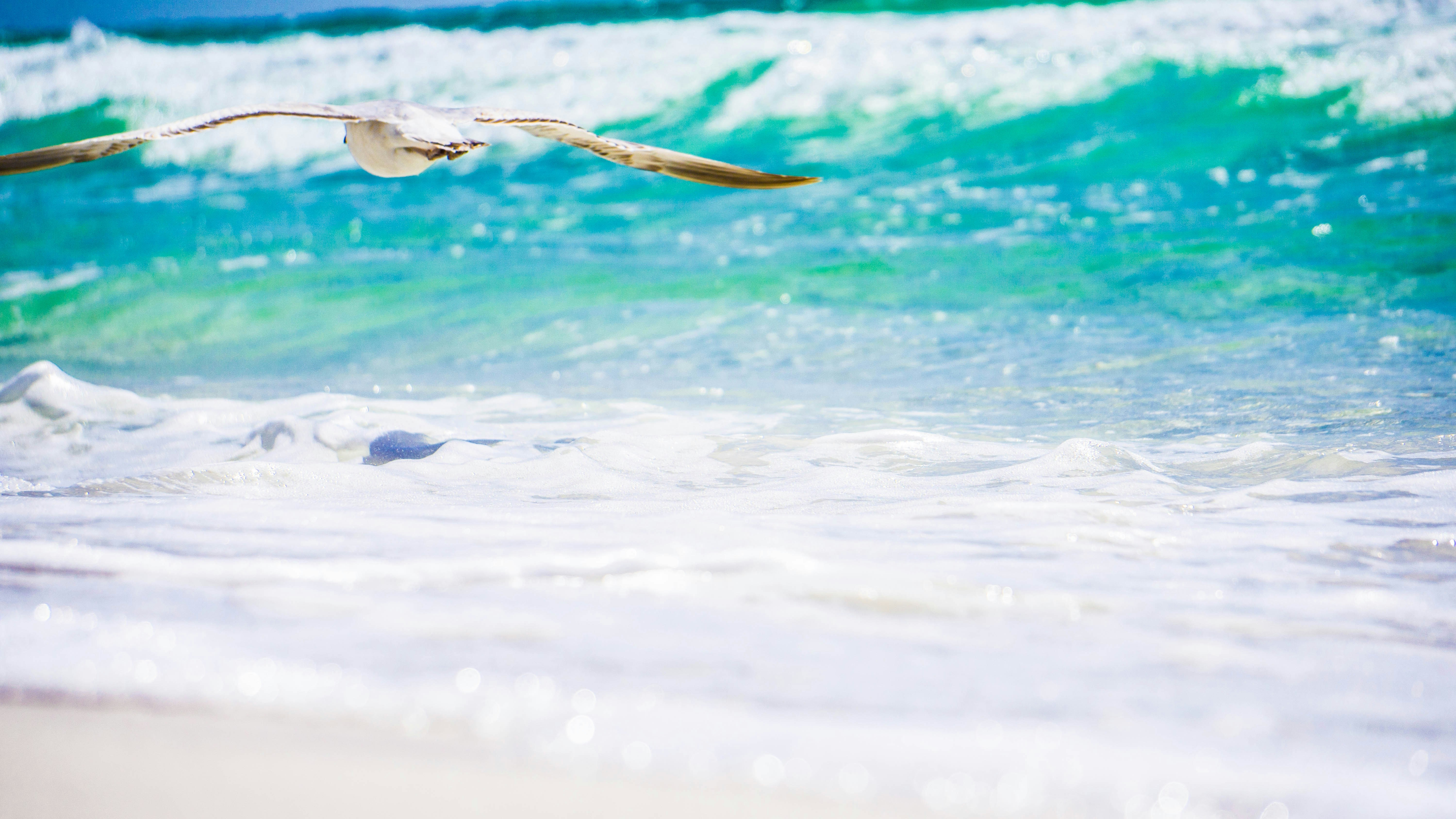 Photo by kaleajerielle