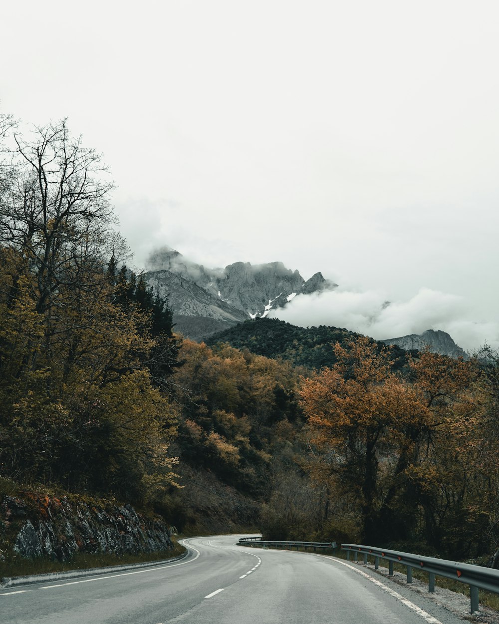 Carretera de hormigón rodeada de árboles