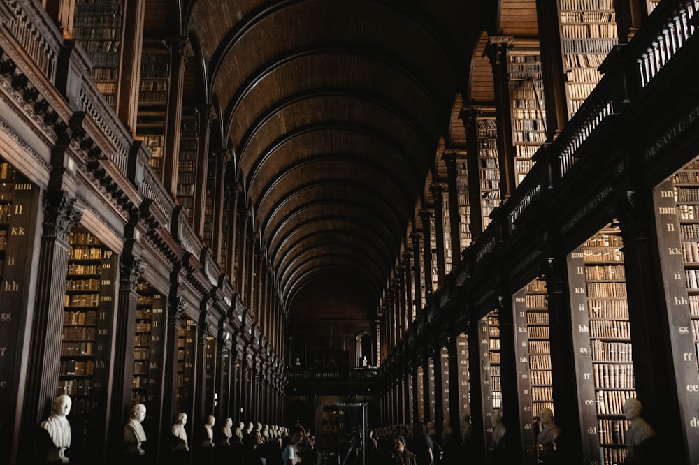 low-angle photo of library room