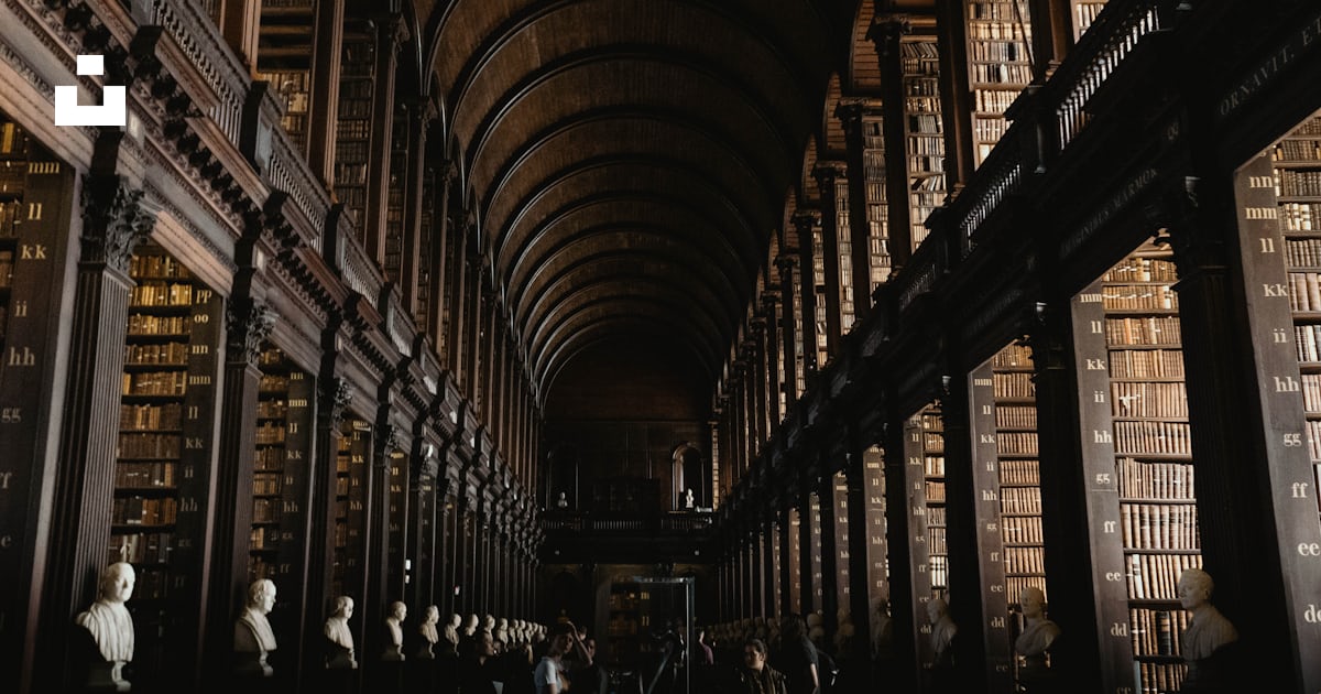 Low-angle photo of library room photo – Free Ireland Image on Unsplash