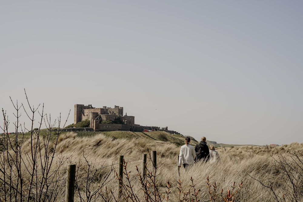 people walking on brown grasses during daytime