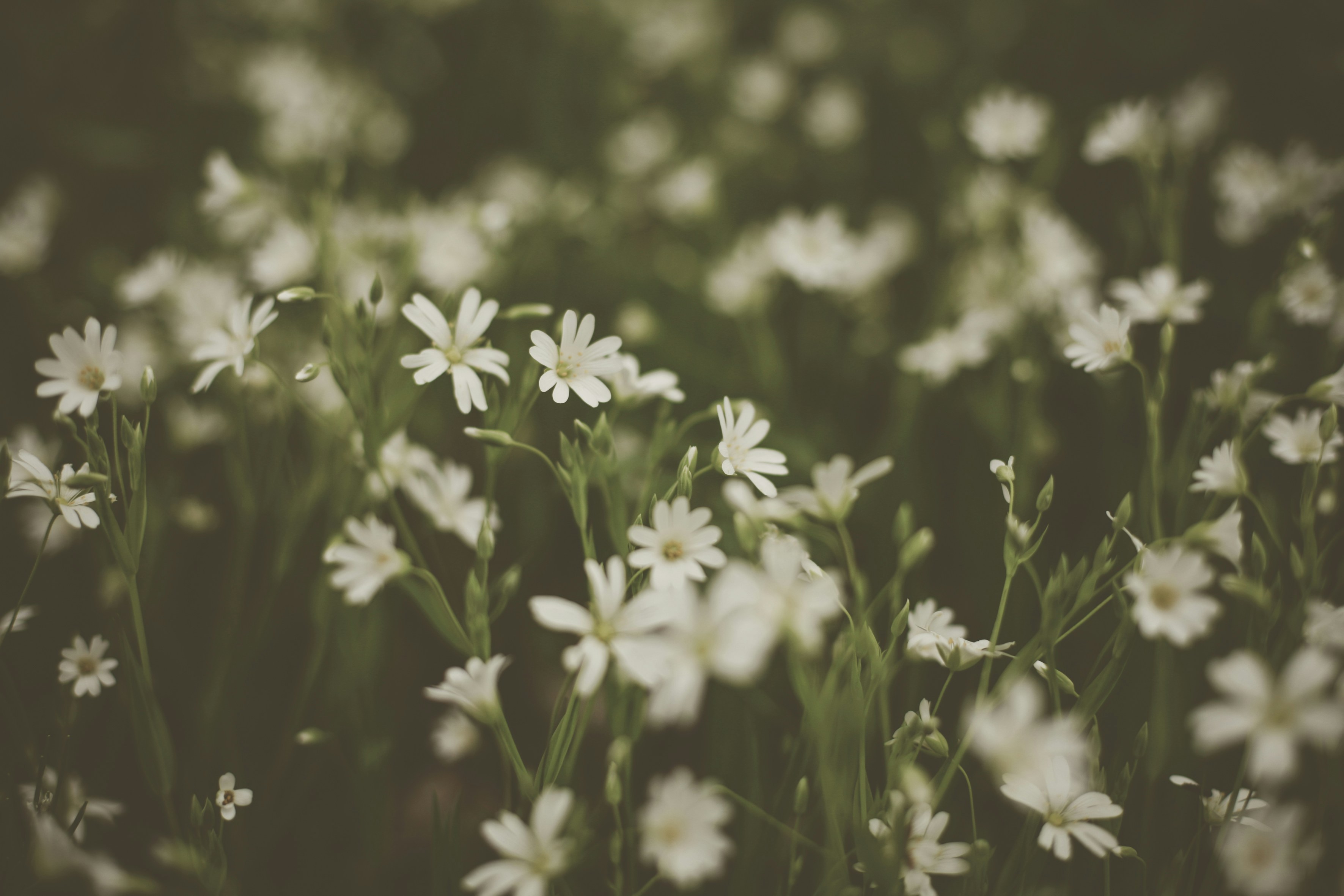 Photo by quadratmedia