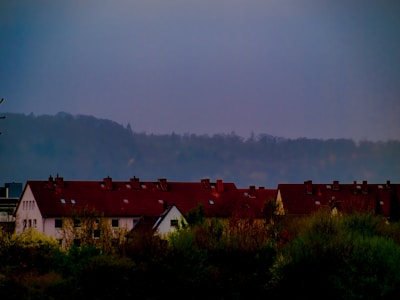 A row of houses with red roofs sits in front of a misty, forested hillside under an overcast sky. The foreground features dense greenery and shrubs.