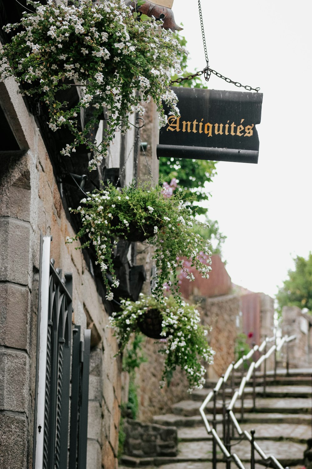 antiquites signage near flowesr