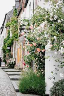 Street view of charming cobblestone alleys lined with blooming flower shops