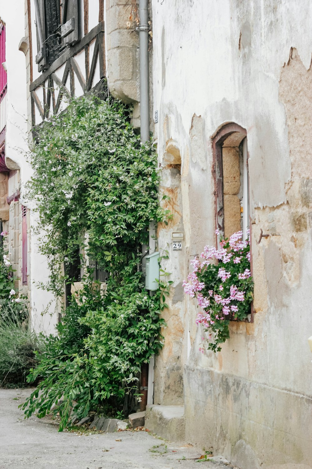 a building with a bunch of flowers growing on the side of it