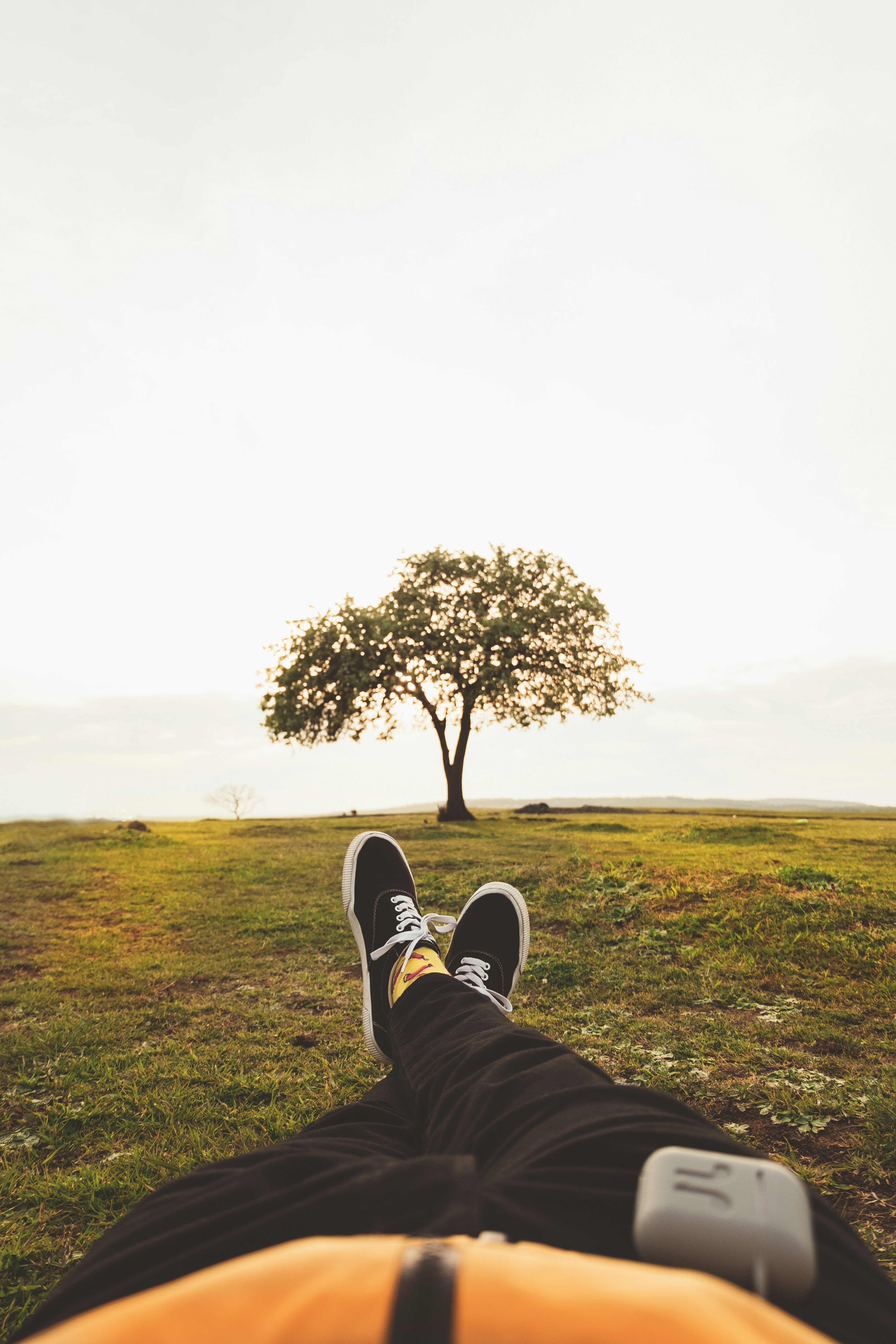 草原に寝転ぶ人の写真 Unsplashで見つける茶色の無料写真