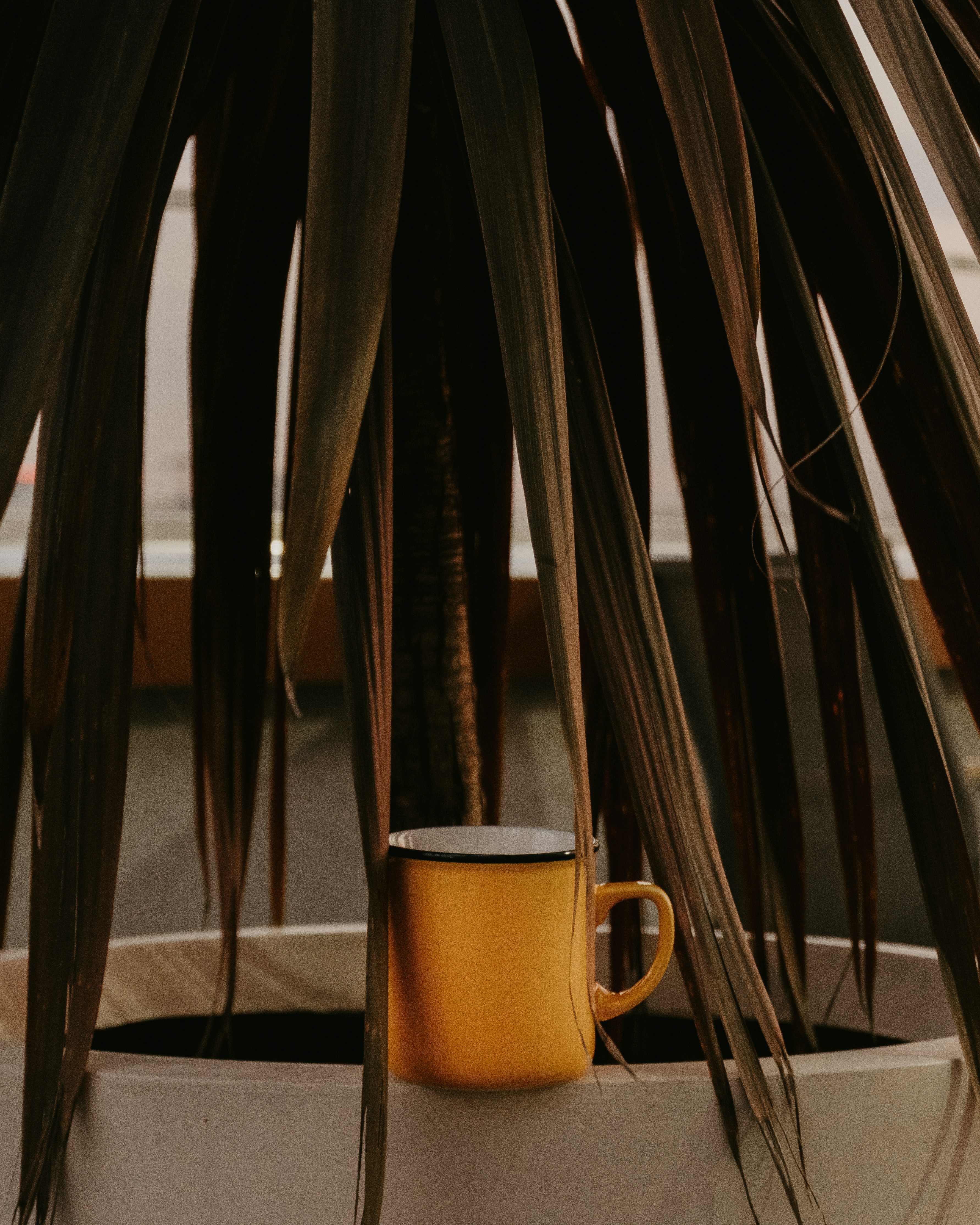 Photo by kayrasercan