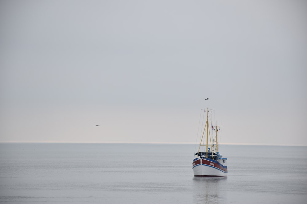 white and brown motorized boat on body of water