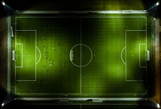 soccer field screenshot