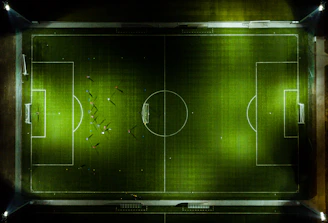 soccer field screenshot
