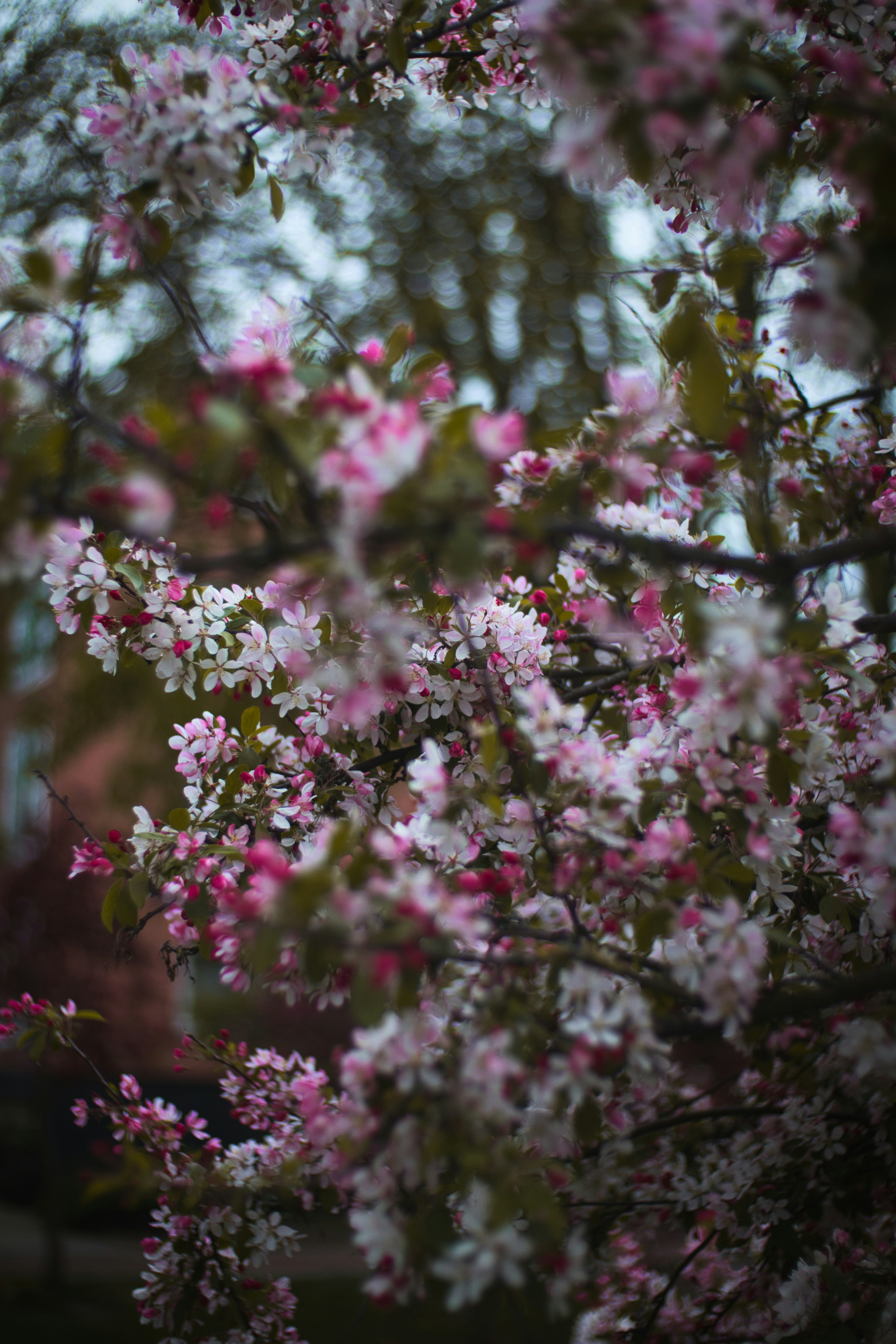 Photo by liammartens