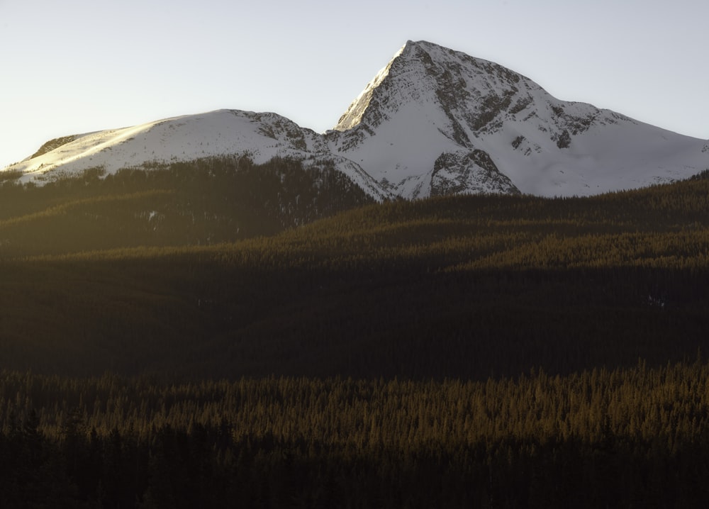 mountain at daytime