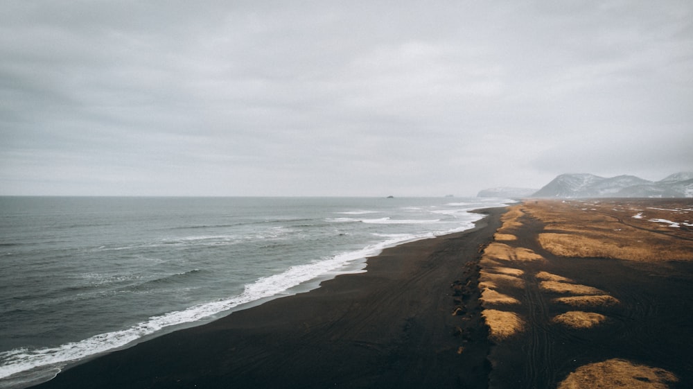 seashore during daytime